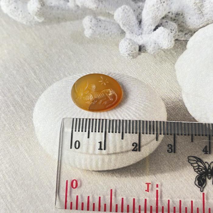 Gugalanna Star Carnelian Intaglio Oval 15,5 x 12,5mm
