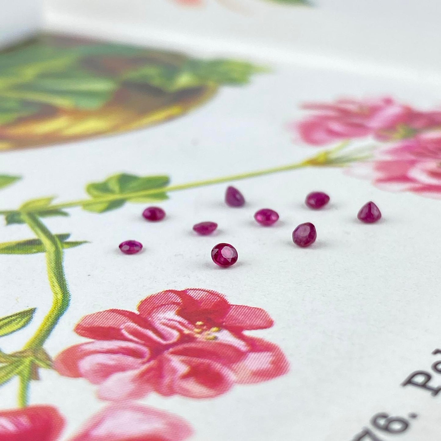 Pink Ruby Round 2mm natural