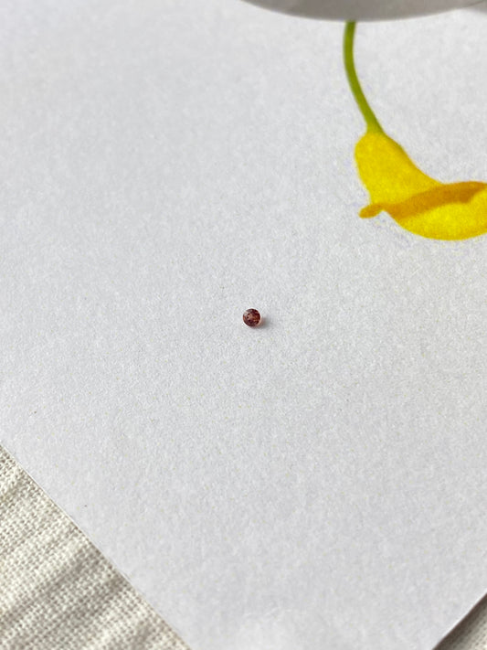 Red Garnet Round  1,5mm