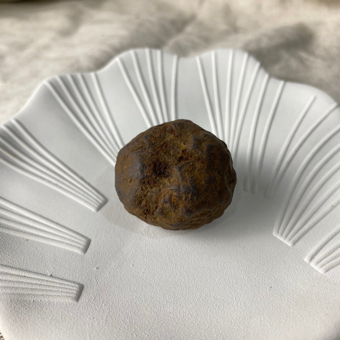 Raw Meteorite