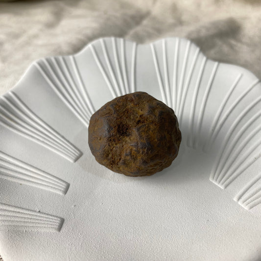 Raw Meteorite