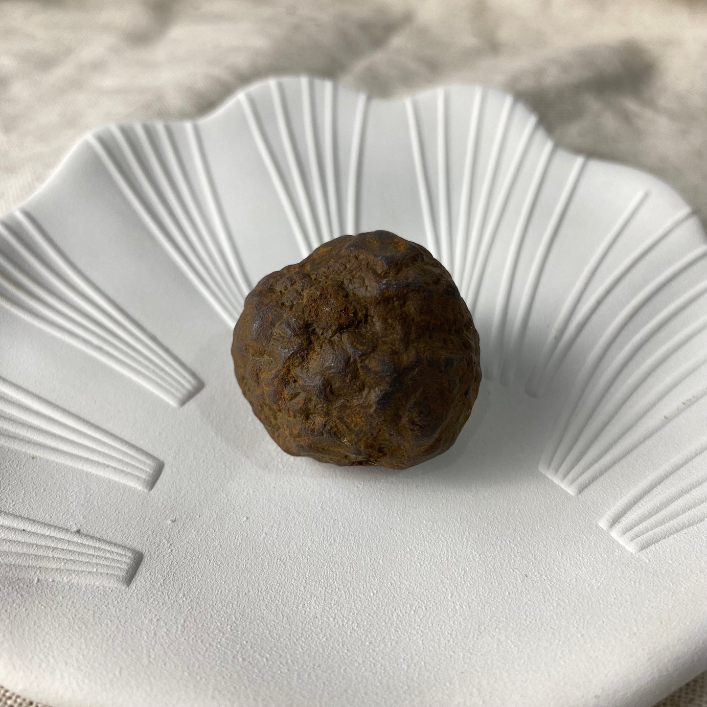 Raw Meteorite