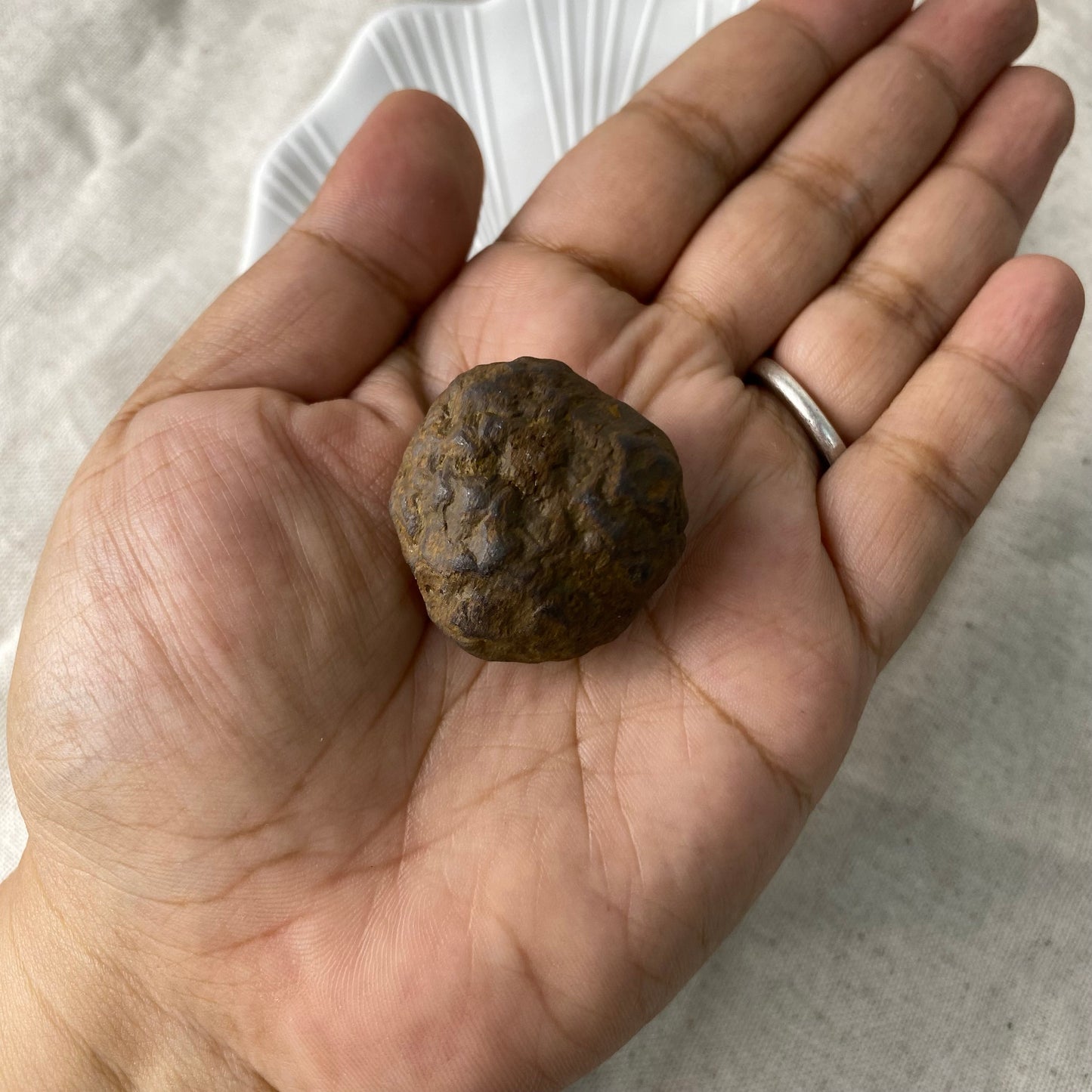 Raw Meteorite