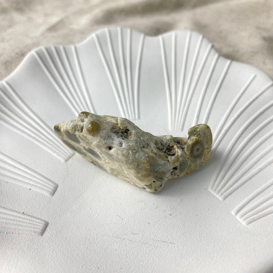 Raw Ocean Jasper