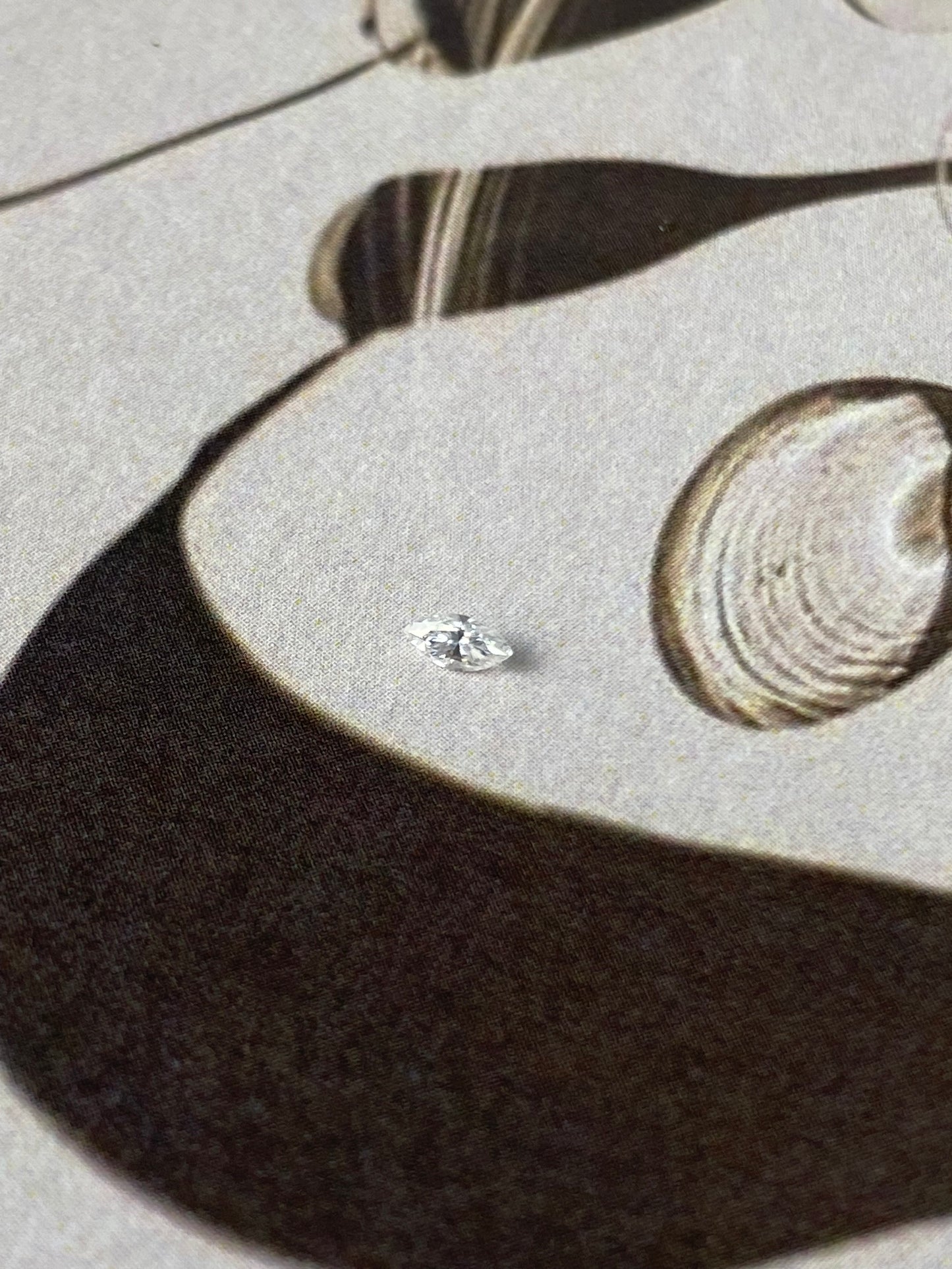 Moissanite Marquise White 2x4mm