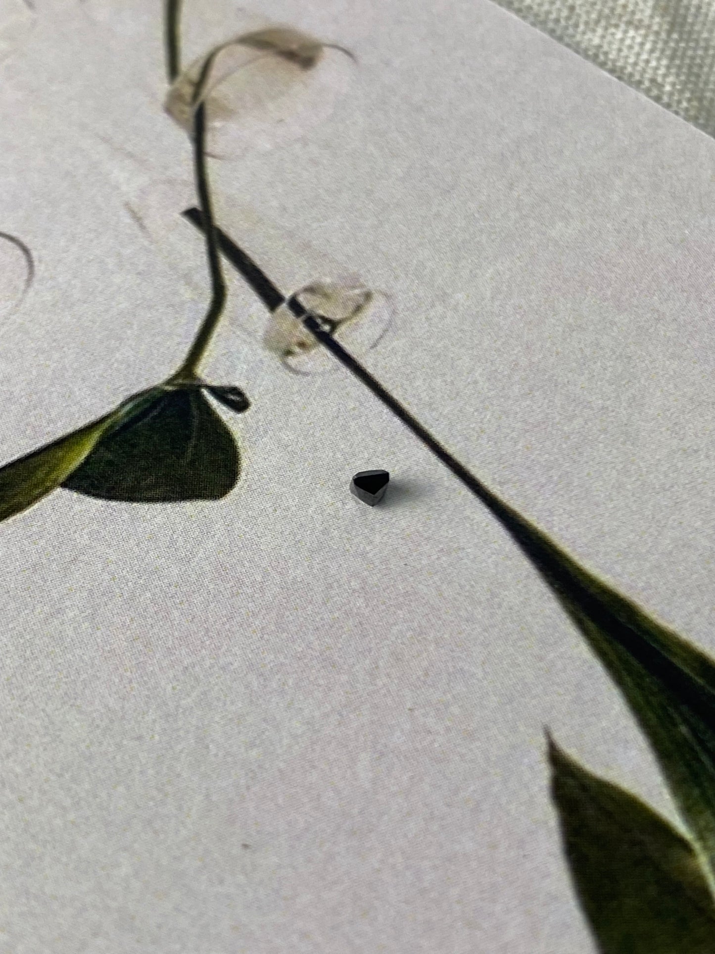 Natural Black Diamond Square 2x2 mm