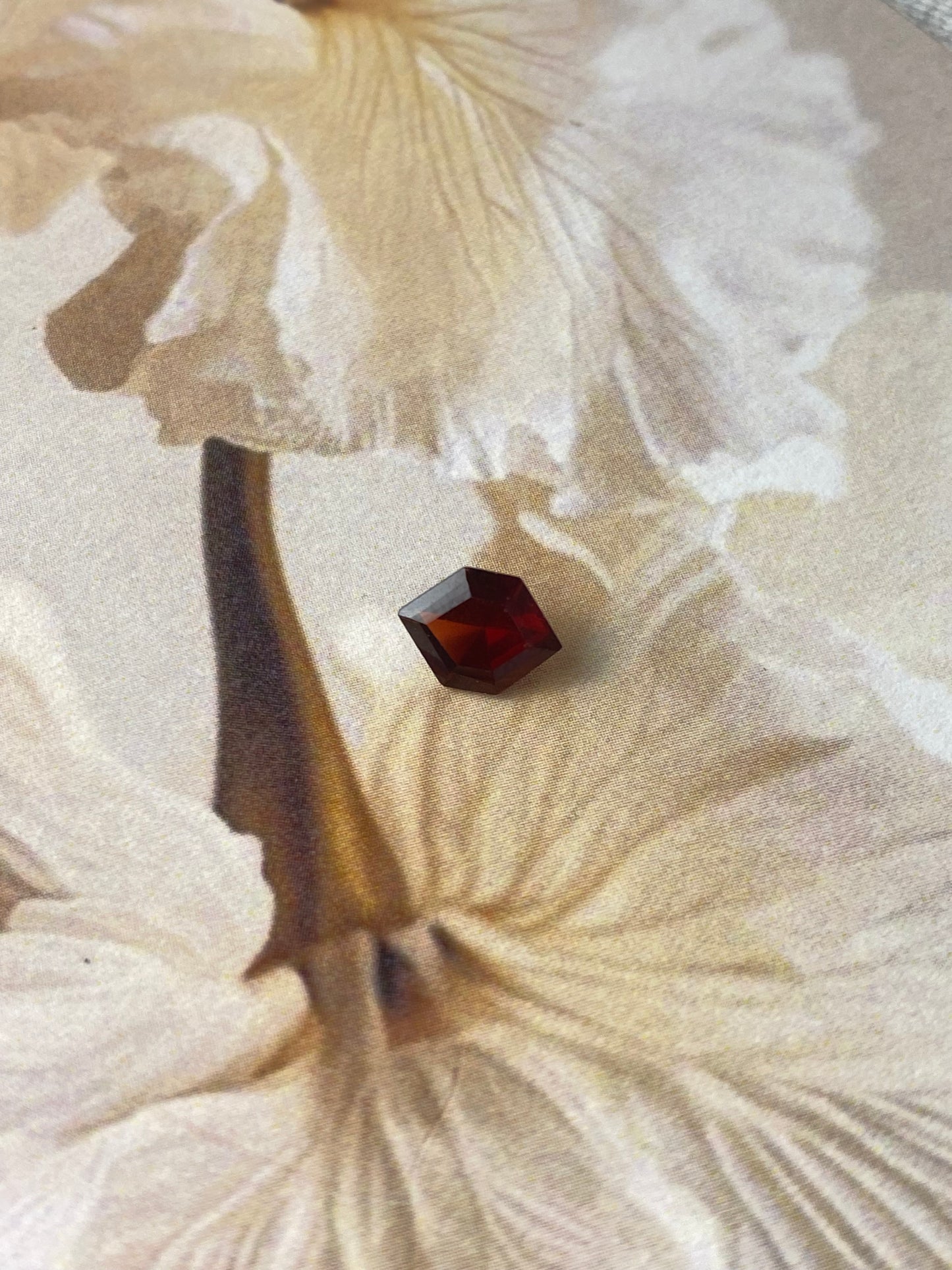 Shield Shape Garnet 6x8mm