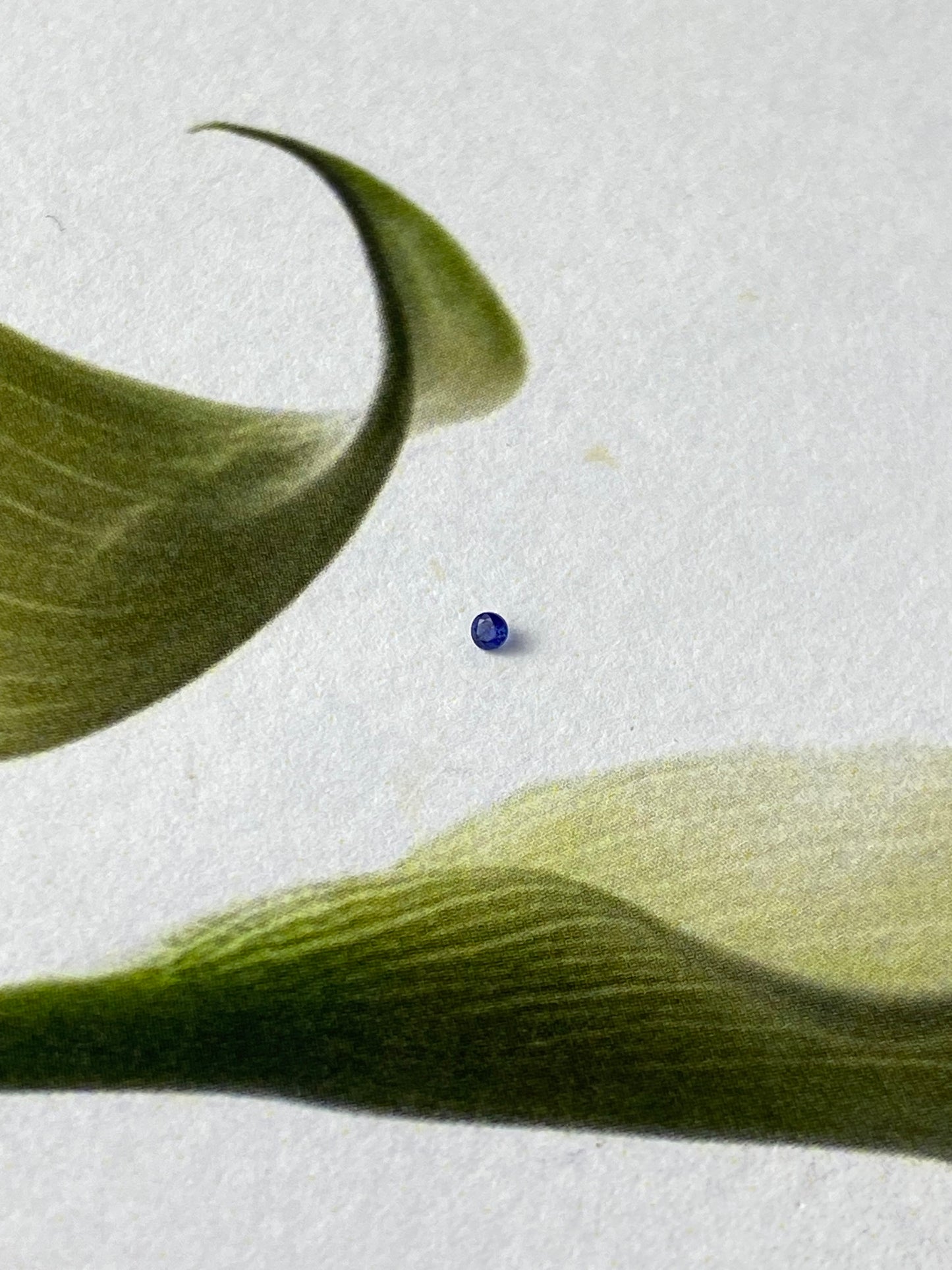 Blue Sapphire 1,5 ml
