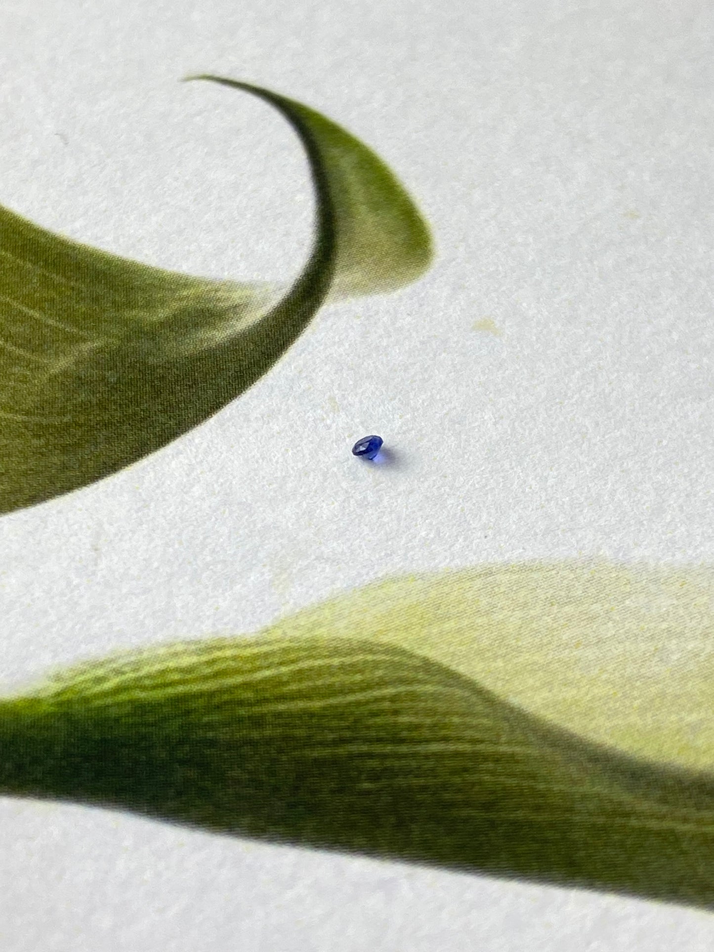 Blue Sapphire 1,5 ml