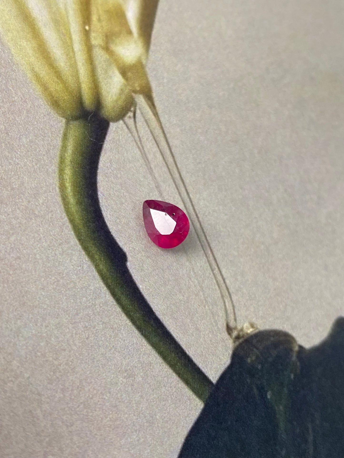 Red Ruby Pearcut 1,67ct 8x6x5mm