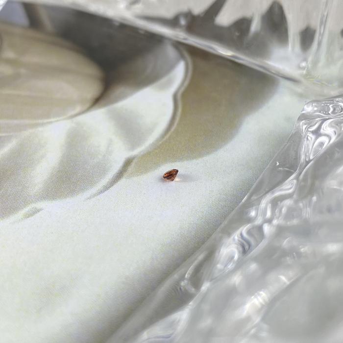 Red Garnet Round 2mm natural