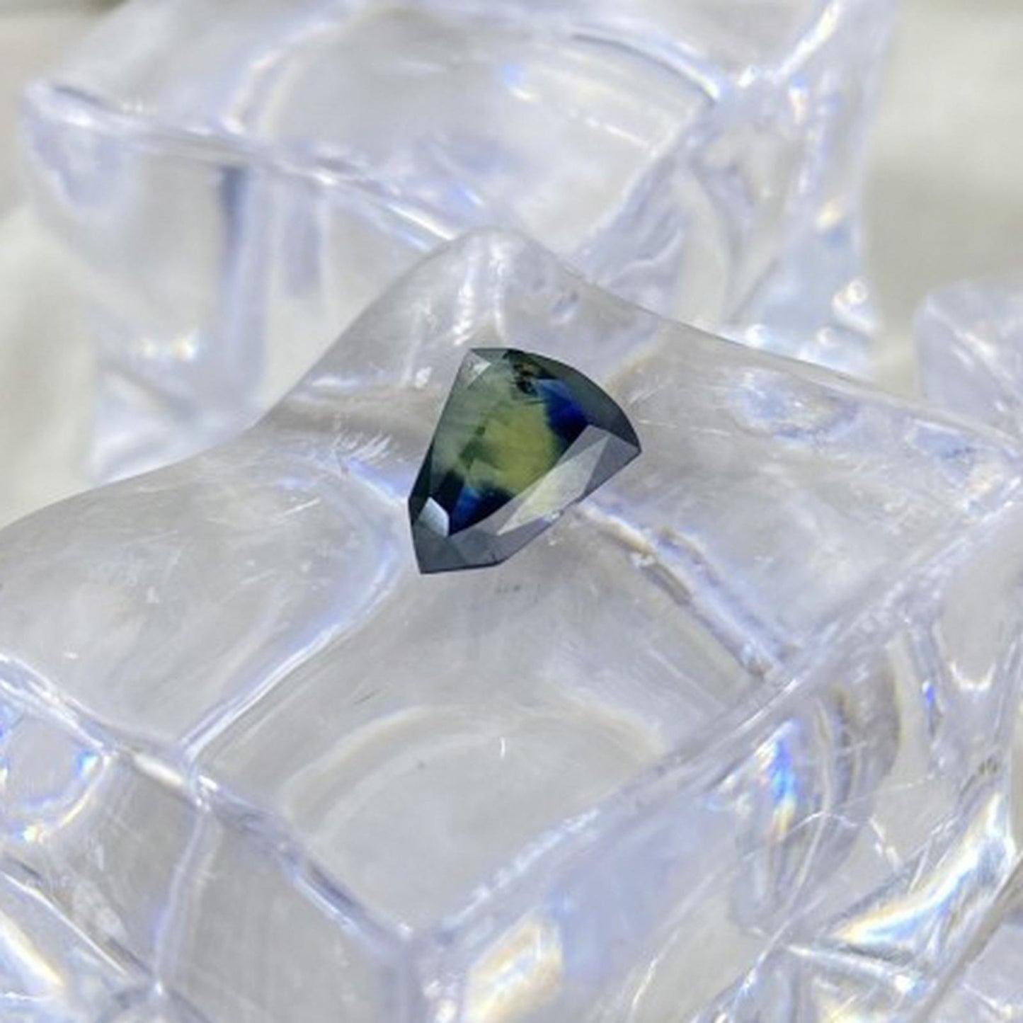 Shield Bicolor Sapphire 9,3 x 6,4 mm